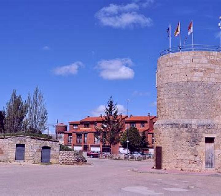 Rocío Cetina escort