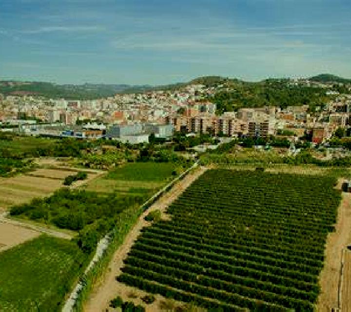 Rocío Rotgla y Corbera escort