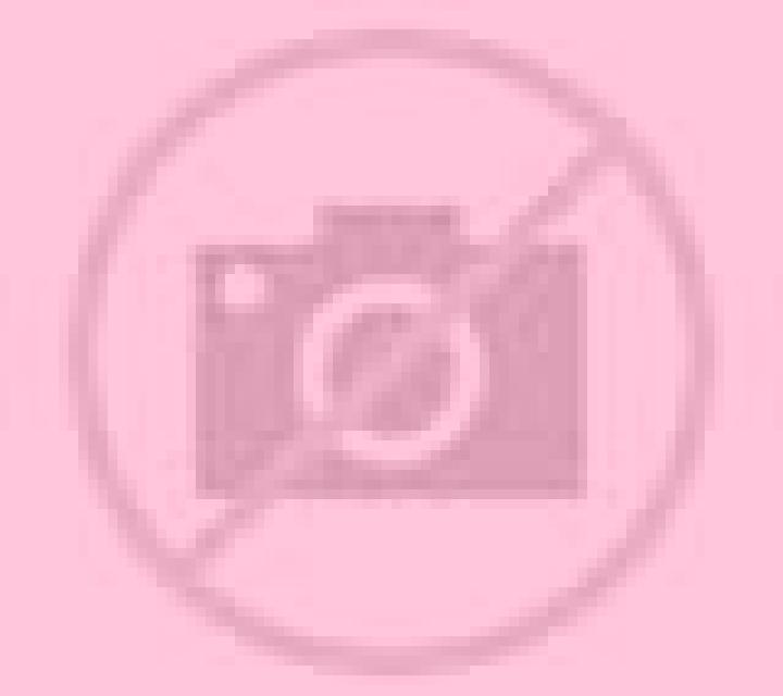 Rosa 2 Viver escort