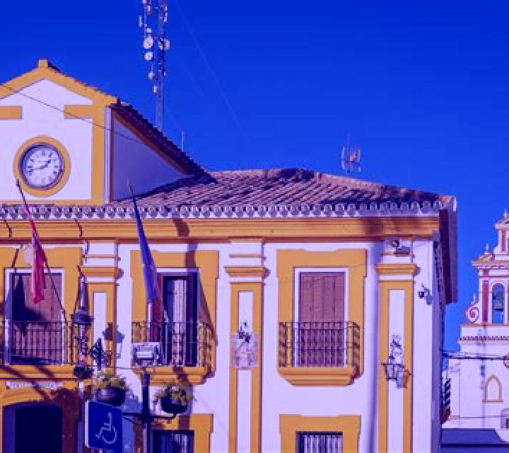 Rosa 3 Cabezon de la Sal escort