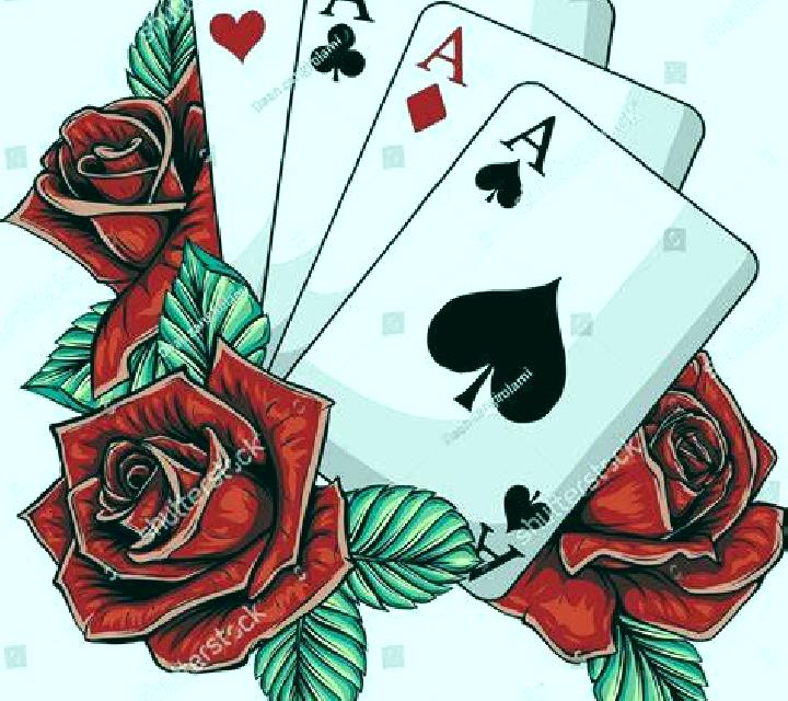 Rosa 3 Saelices escort