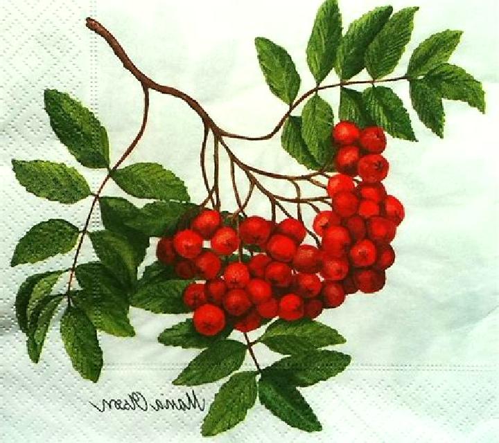 Rosa Pilona escort