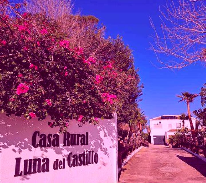 Salma 3 Sant Marti Vell escort