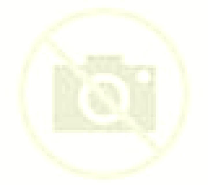 Salma Priego escort