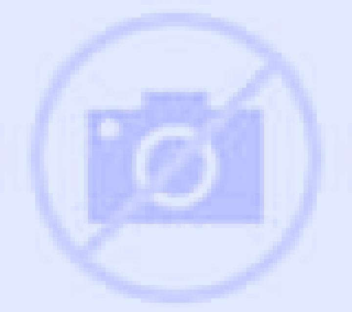 Sara 2 Villafrechos escort