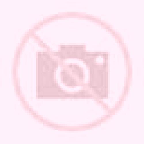 Sara 3 Ledrada escort