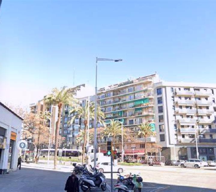 Sara Canredondo escort