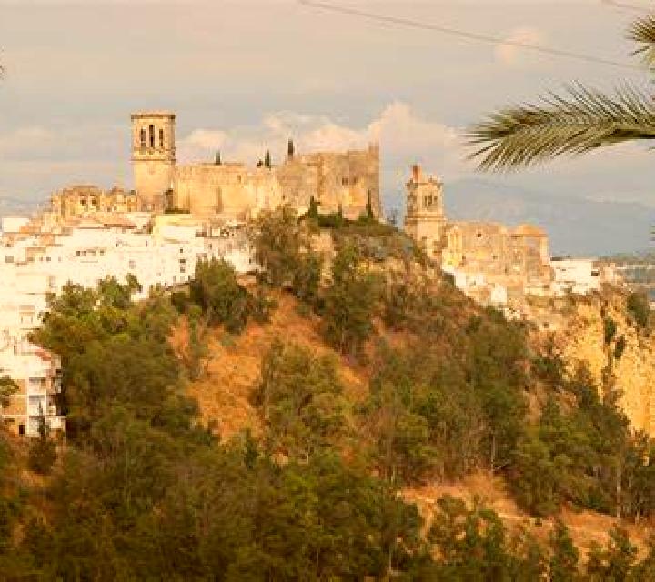 Selene Arcos de la Frontera escort