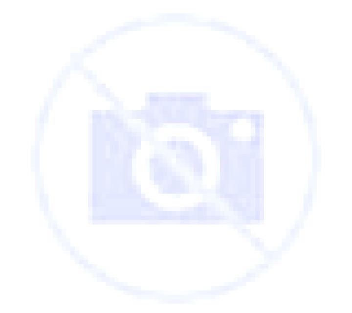 Selene Campo escort