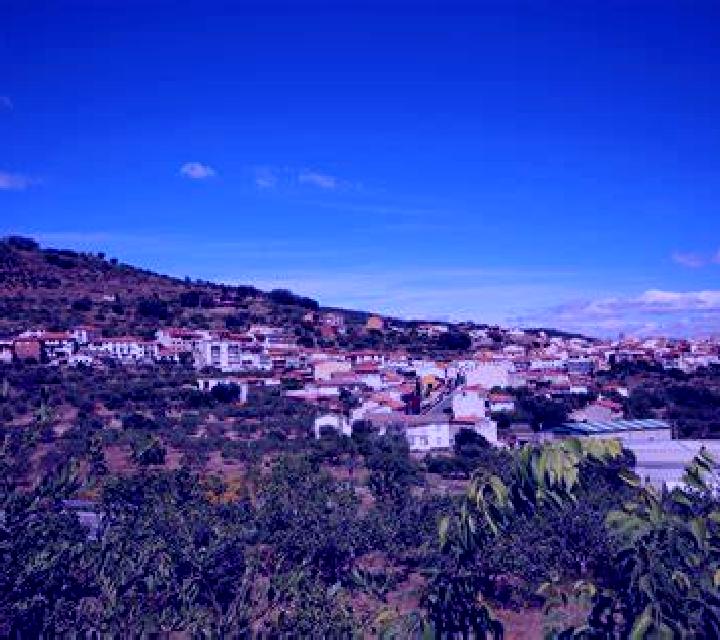 Sofía Viandar de la Vera escort