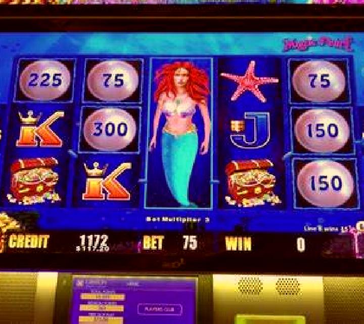 Vega 2 Canjayar escort