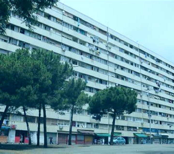 Vega Macanet de la Selva escort