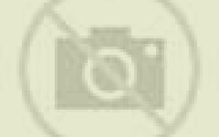 Ximena 2 Fuentes Claras escort