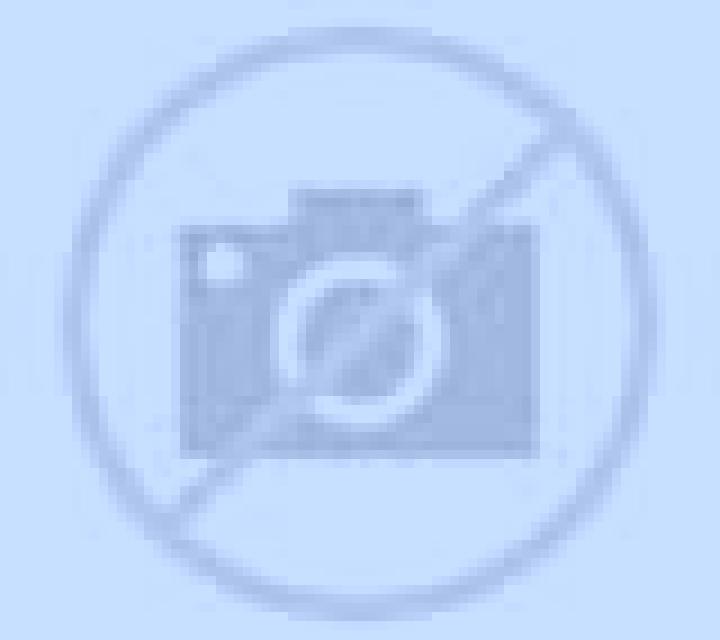 Ximena 3 Calasparra escort