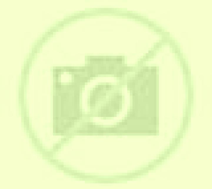 Ximena 3 Meneses de Campos escort