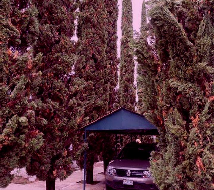 Ximena Alcala del Jucar escort