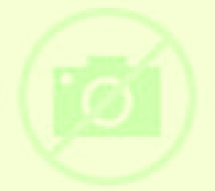 Ximena Alpenes escort