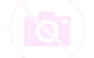 Yasmin Trescasas escort