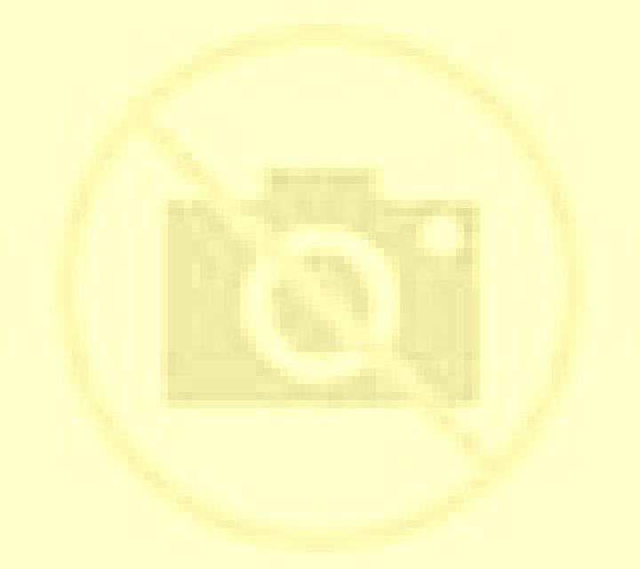 Yasmin Valdeolivas escort