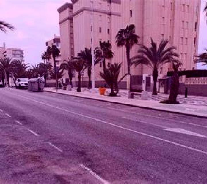 Zara 2 Sedavi escort