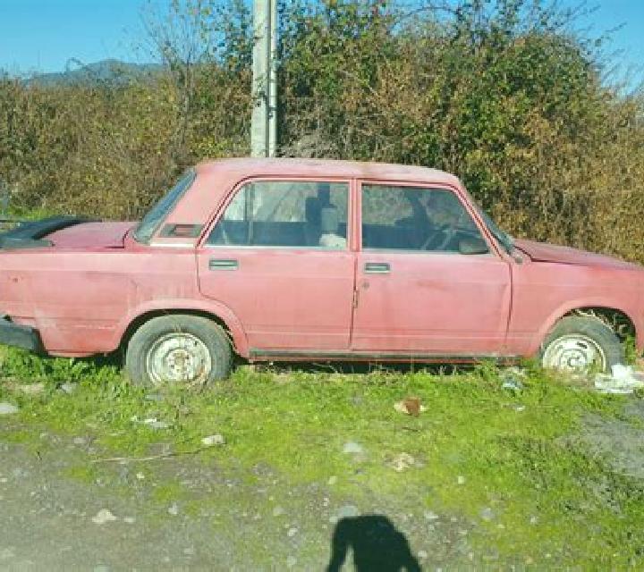 Zara 3 Ambite escort